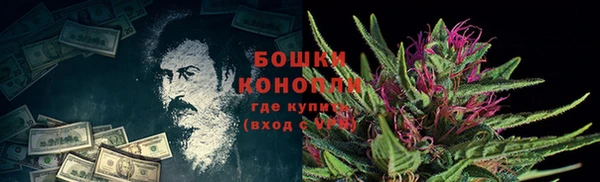амф Горняк