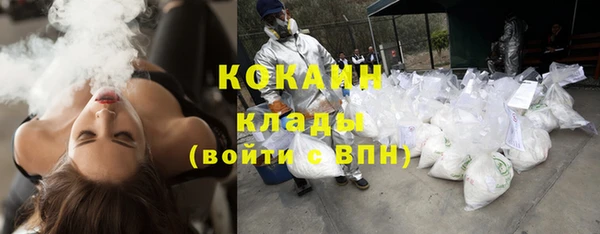 амф Горняк