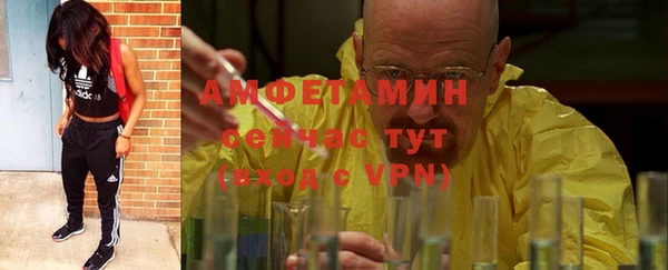 амф Горняк