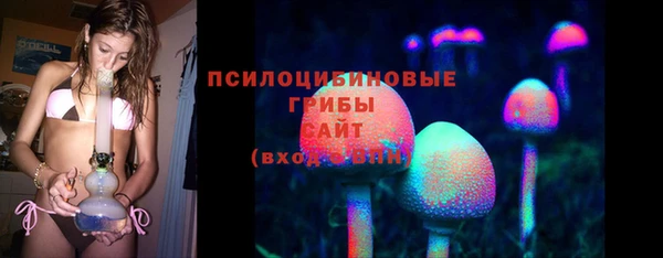 амф Горняк