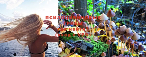 амф Горняк