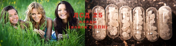 меф VHQ Горнозаводск